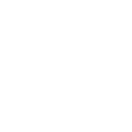 IceBoard